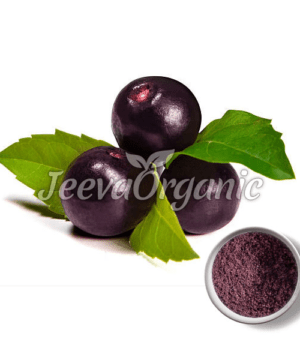 Acai Berry Powder