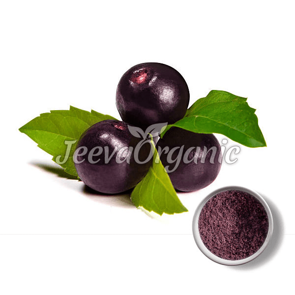 Acai-Berry-Powder.png