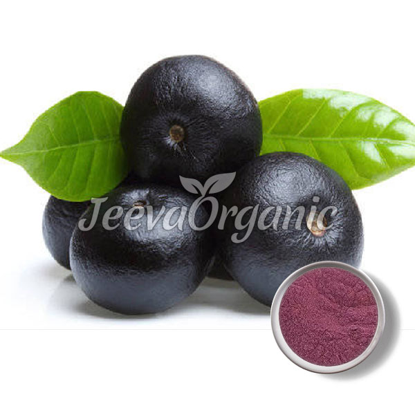 Acai-Berry-extract-powder-1.jpg