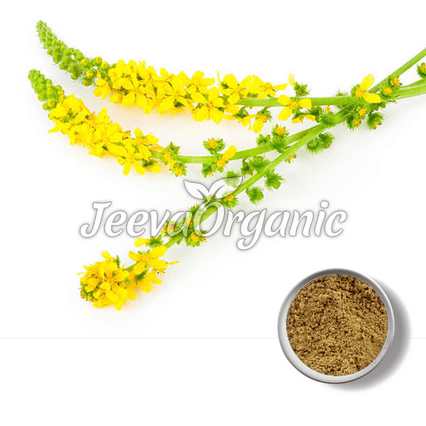 Agrimony-Powder.png