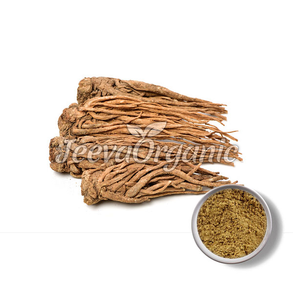 Angelica-Root-Extract-Powder.jpg