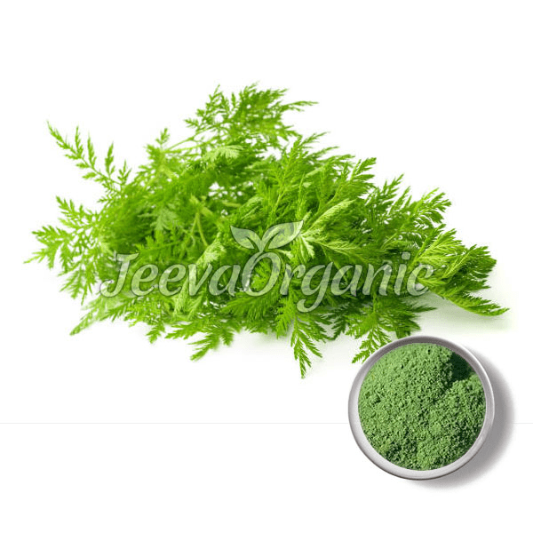 Artemisia-Annua-Powder.png