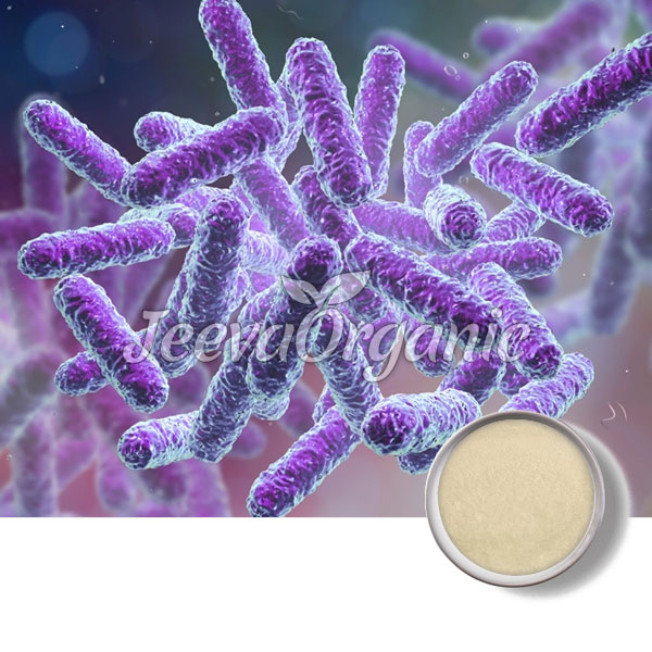 Bacillus-subtilis-powder-1.jpg