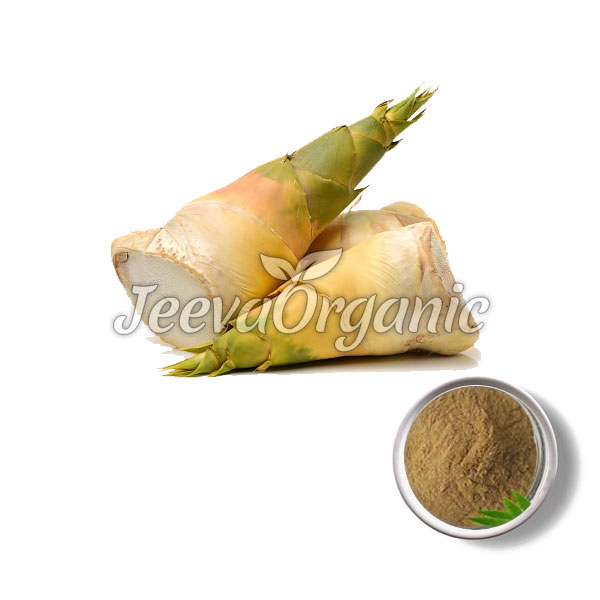 Bamboo-Shoot-Extract-Powder.jpg