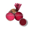 Beet Root Extract Powder