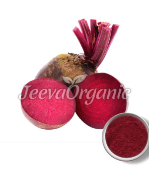 Beet Root Extract Powder