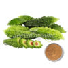 Bitter Melon Extract Powder