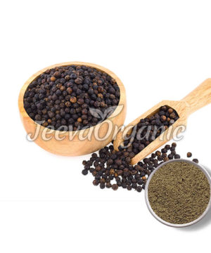 Black Pepper Extract Powder