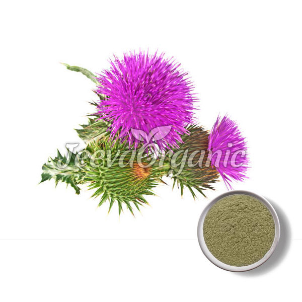 Blessed-Thistle-Powder.jpg