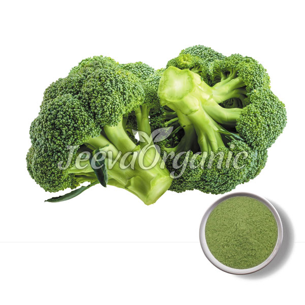 Broccoli-Powder.jpg