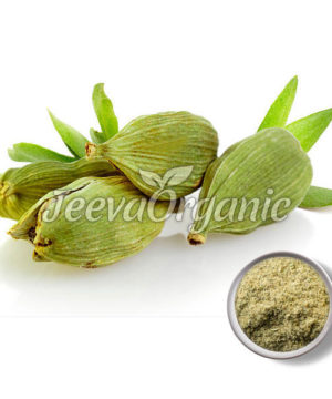 Cardamom Powder