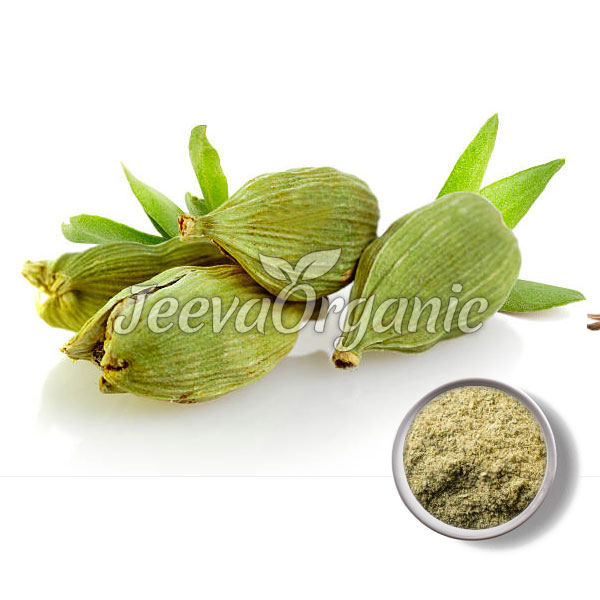 Cardamom-Powder.jpg