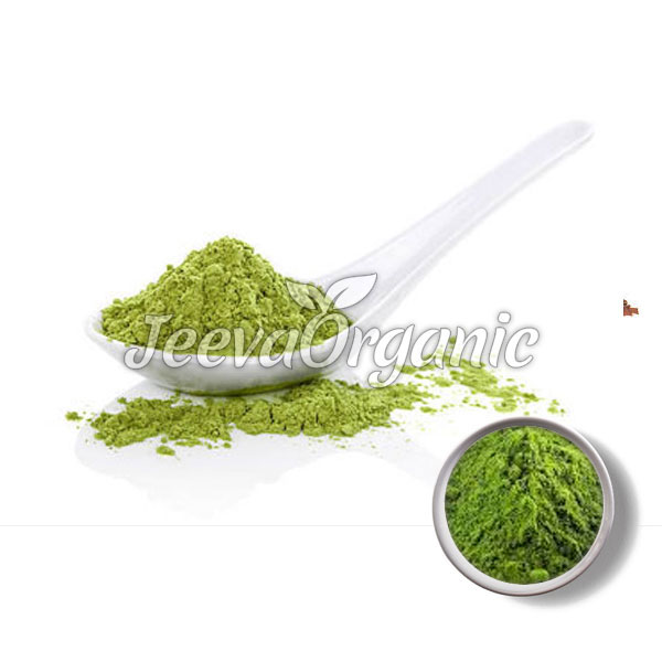 Chlorella.jpg