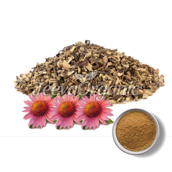 Echinacea-Root-Powder.jpg