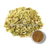 Fennel-Seed
