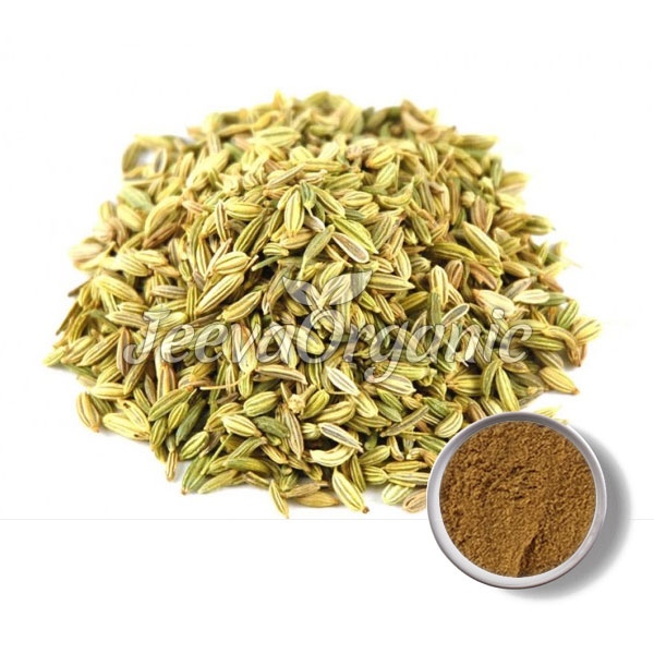 Fennel-Seed-Extract-Powder.jpg Fennel-Seed