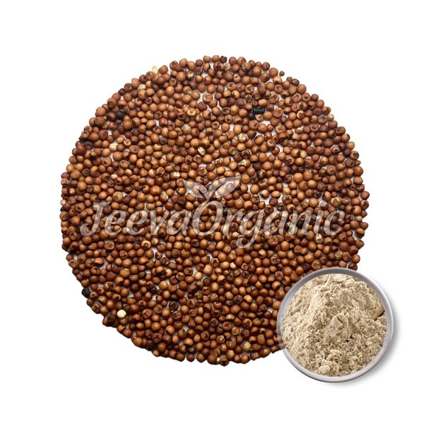 Finger-millet-seed-extract-powder Finger Millet Seed Extract Powder