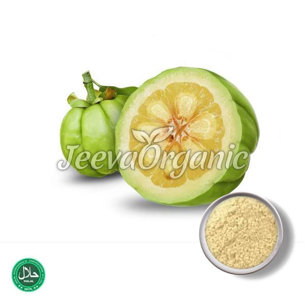 Garcinia-Extract-Powder.jpg