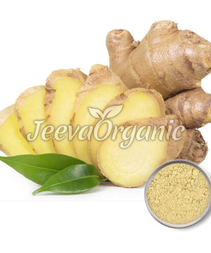 Ginger extract powder