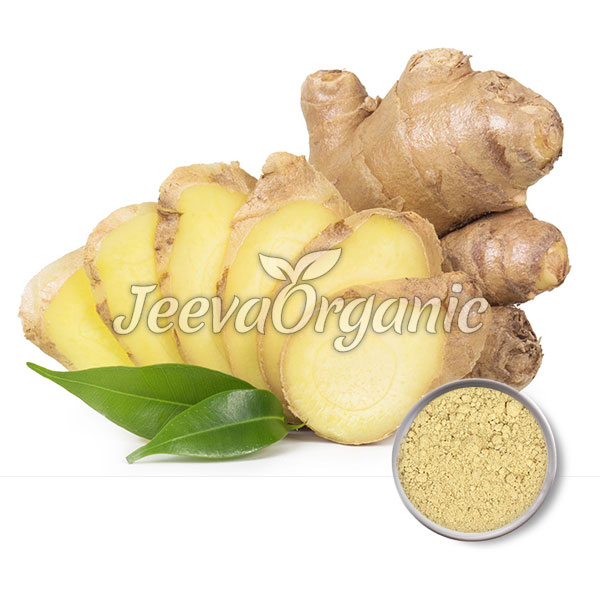 Ginger-extract-powder Ginger extract powder