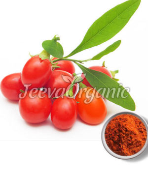 Goji Berry Powder