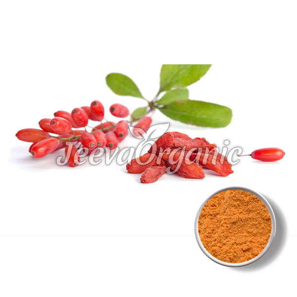 Goji-Berry-Extarct-Powder.jpg