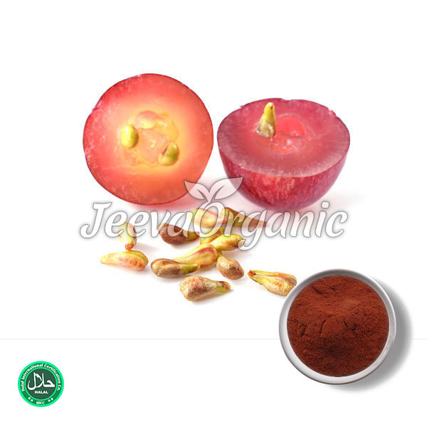 Grape-Seed-Powder.jpg