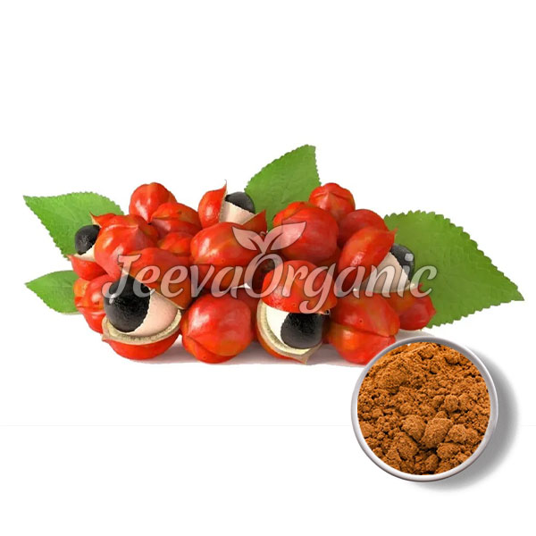 Guarana-Extract-Powder.jpg