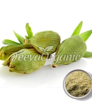 Organic Cardamom Powder