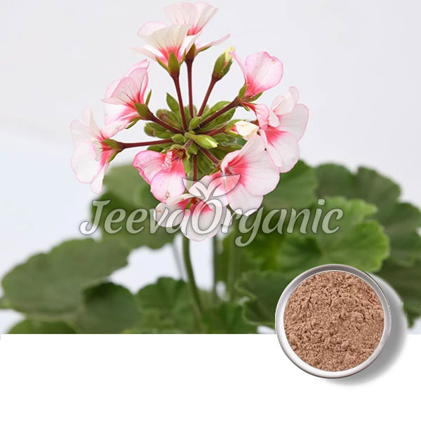 JO3050-Geranium-Herb-Powder.jpg