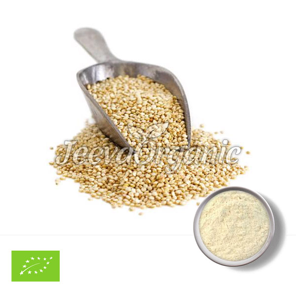 JO462-Amaranth-Powder.jpg