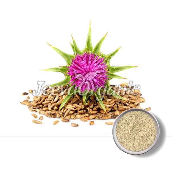 JO4778-Milk-Thistle-Powder.jpg Milk Thistle Seed