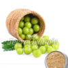 Amla-Powder