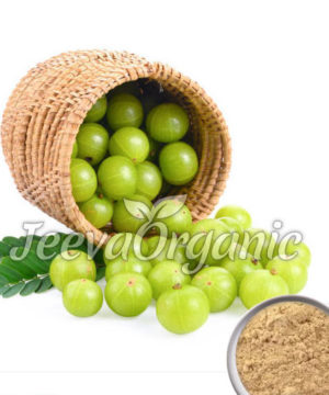 Amla-Powder