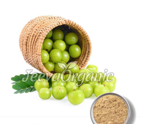 -Amla-Powder.jpg Amla-Powder
