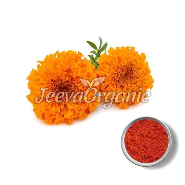 Lutein.jpg