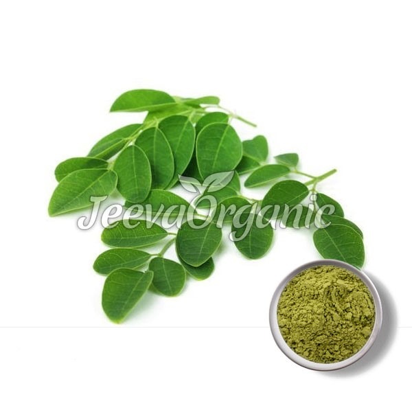 Moringa-Leaf-Extract-Powder Moringa-Leaf-Extract-Powder