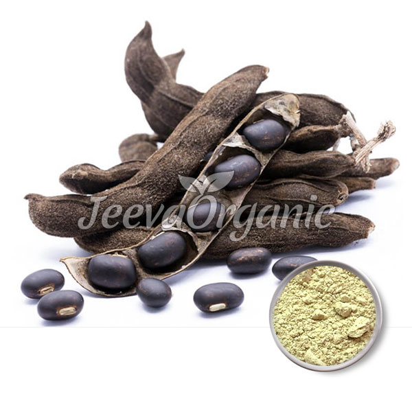 Mucuna-Pruriens-Seed-Powder Mucuna Pruriens Seed Powder