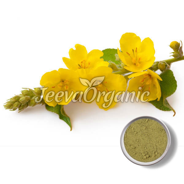 Mullein-Leaf-Powder.jpg