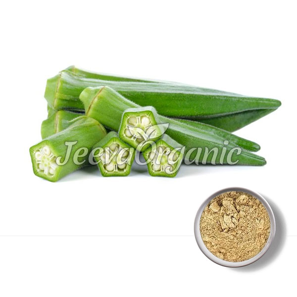 Okra-Fruit-Powder.jpg