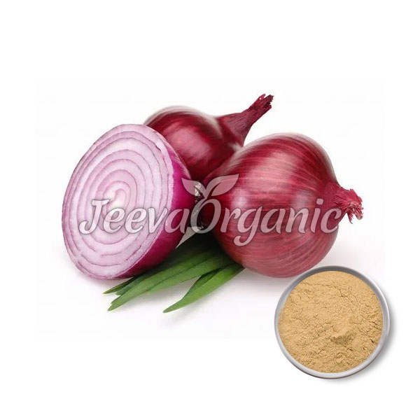 Onion-Bulb-Extract-Powder-4-1 Onion Bulb Extract Powder