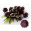 Organic Acai Berry Powder