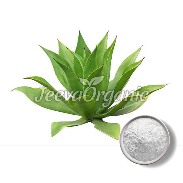 Organic-Agave-Powder-1.jpg