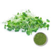Organic Alfalfa Grass Powder