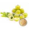 Organic Amla Fruit Powder