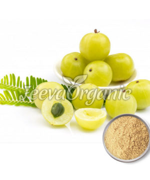 Organic Amla Fruit Powder