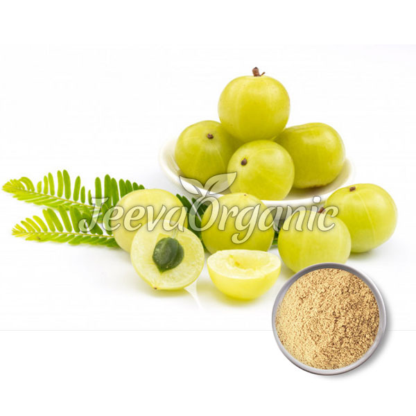 Organic-Amla-Fruit-Powder Organic Amla Fruit Powder