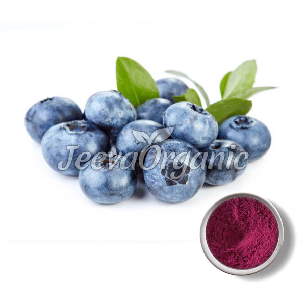 Organic-Bilberry-Powder.jpg