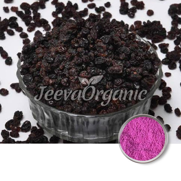 Organic-Black-Currant-Powder Organic Black Currant Powder