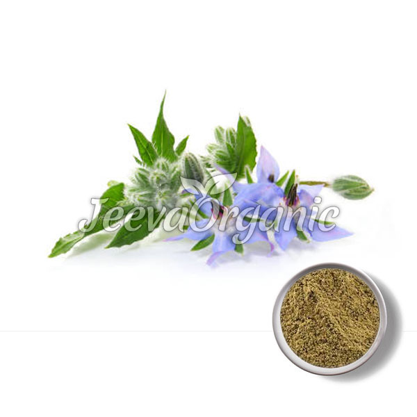 Organic-Borage-Powder.jpg